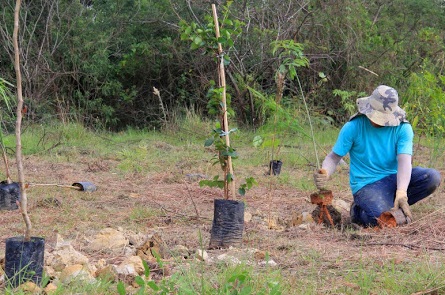 ambiental